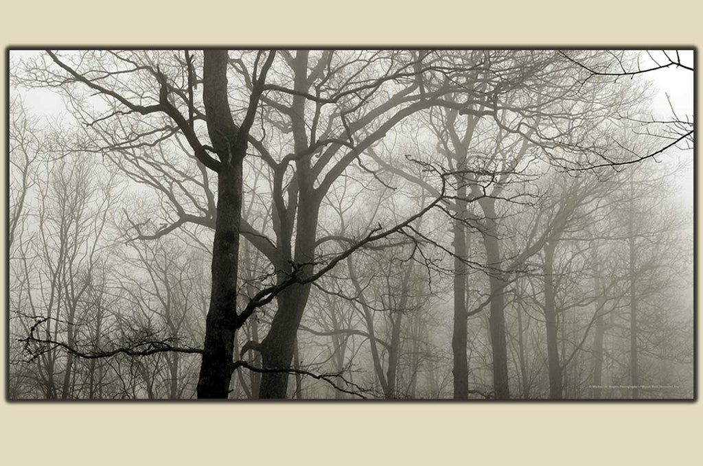 "December Fog" Wayah Bald - Photography on Canvas