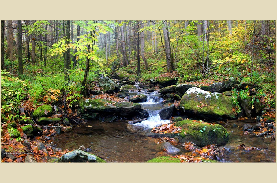 JONES CREEK AUTUMN CASCADES