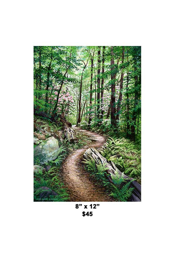 "Timber Ridge Trail" Paper or Canvas Fine Art Print