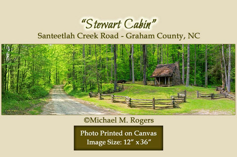 "Stewart Cabin" Santeetlah Creek Road 12" x 36" Canvas