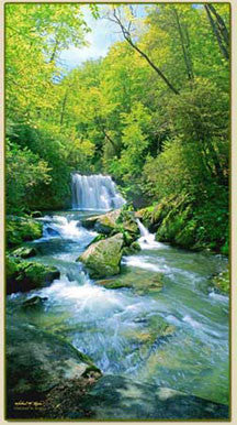 Yellow Creek Falls Vertical Photo